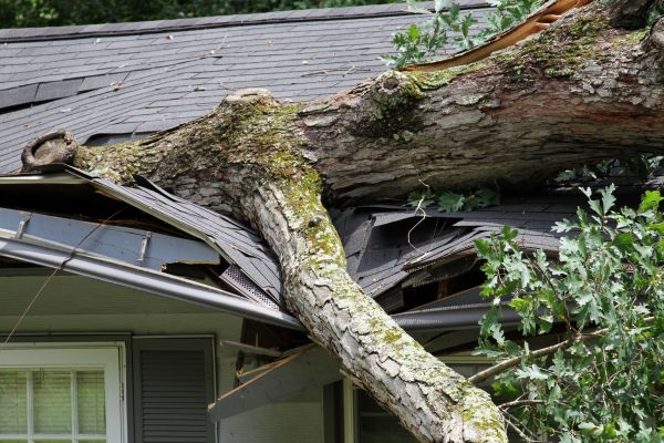Storm Remediation in American Fork