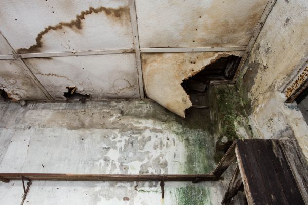 Water Damage Service in American Fork