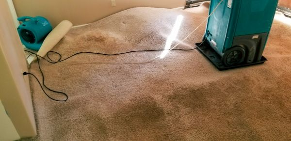 Flood Damage Cleanup in American Fork