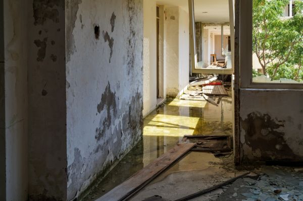 Water Removal Service in American Fork