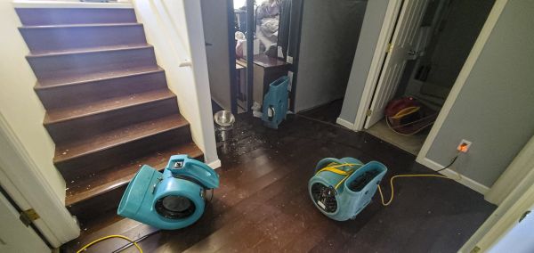 Water Damage Remediation in American Fork