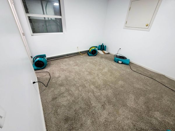 Flood Restoration Service in American Fork