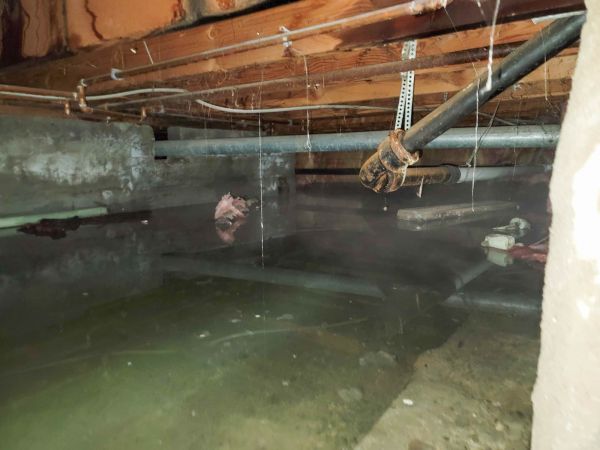 Water Mitigation Service in American Fork