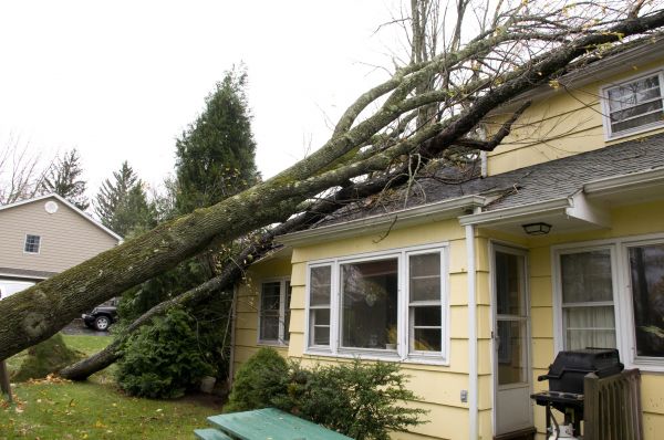 Hurricane Damage Repair in American Fork